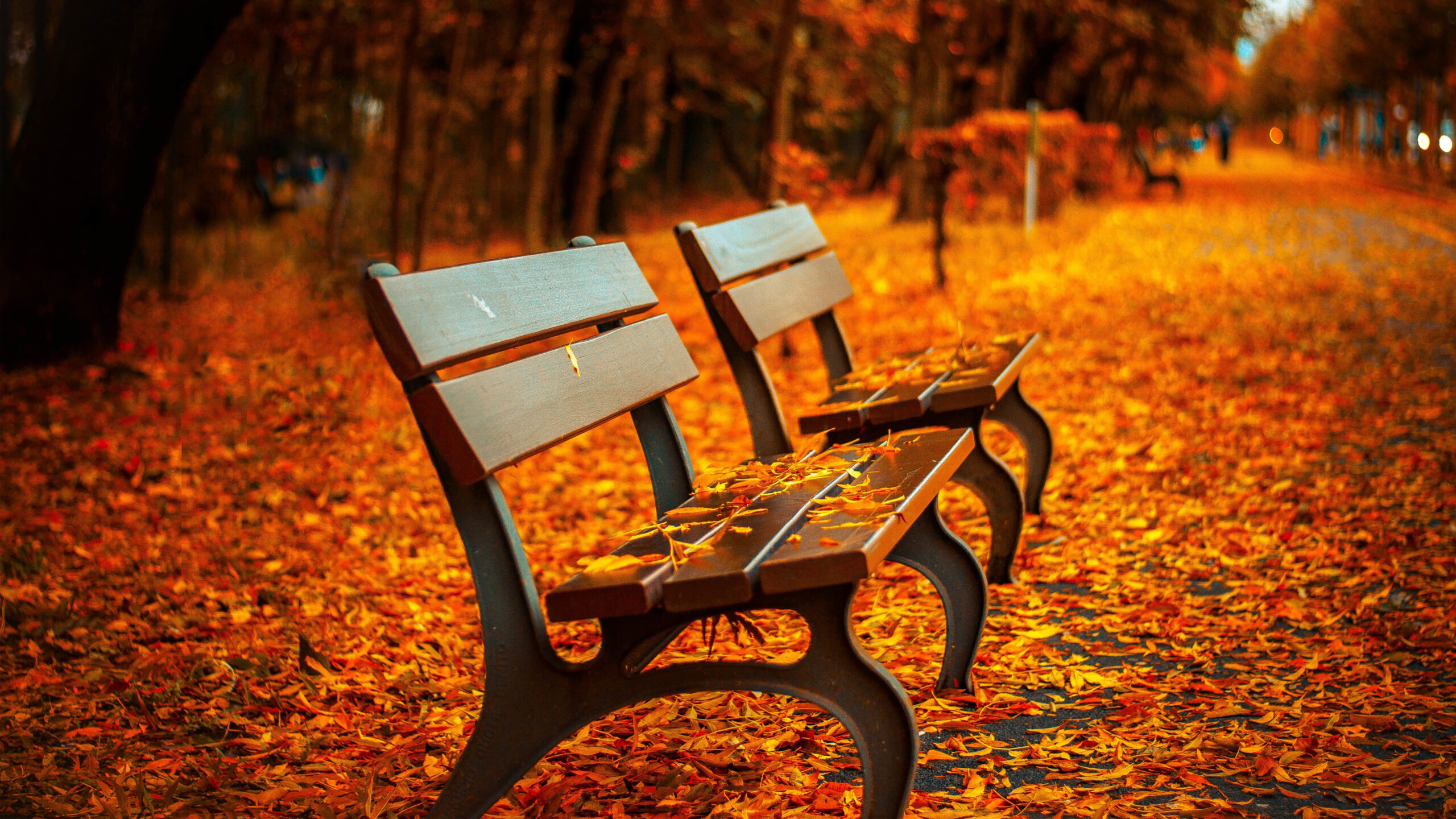 autumn_bench-HD