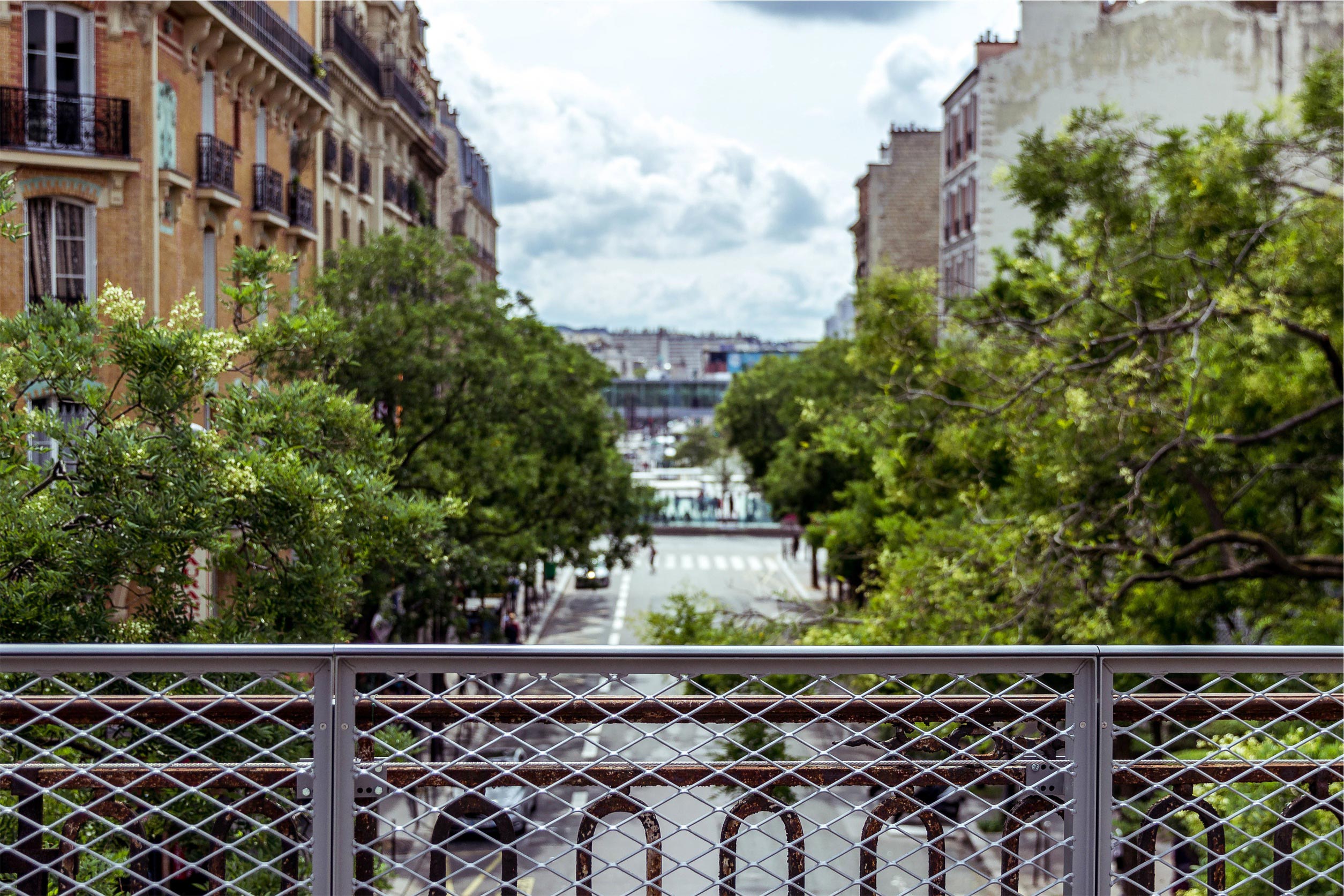 city_(2)